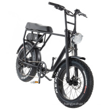 1000/1500 Watt High Quality Fat Tire Mountain Electric Bicycle 2019